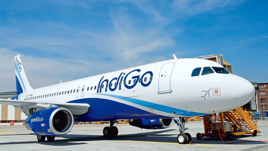 how to download indigo flight ticket